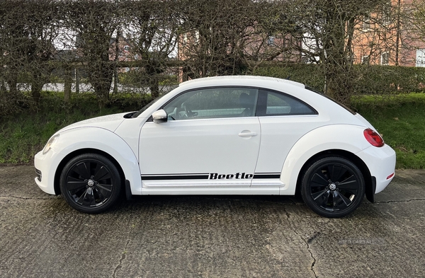 Volkswagen Beetle HATCHBACK in Down