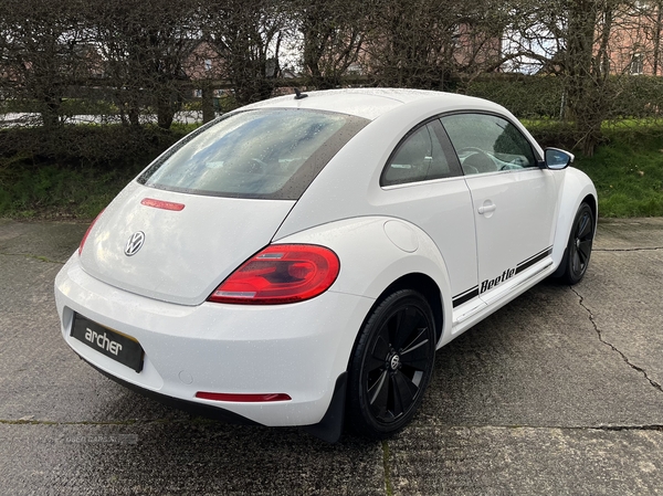 Volkswagen Beetle HATCHBACK in Down