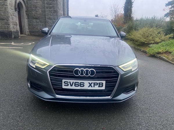 Audi A3 1.6 TDI Sport 4dr S Tronic in Armagh