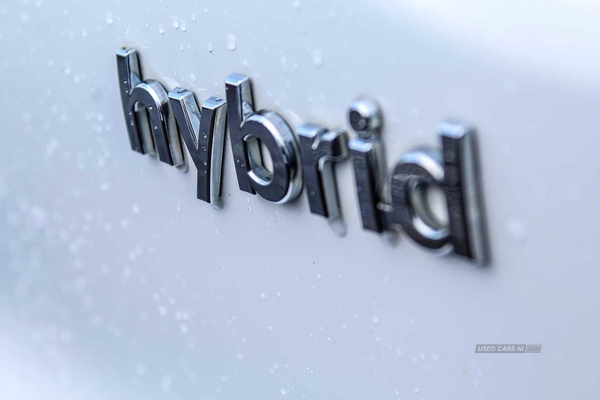 Hyundai Ioniq 1.6 GDi (105ps) Premium SE Hybrid DCT 5Dr HB in Antrim