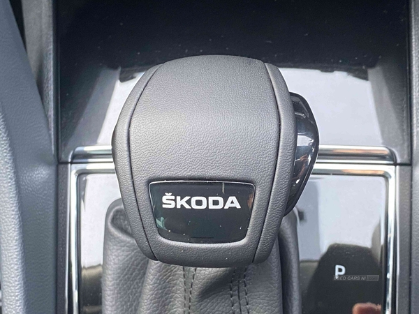 Skoda Kodiaq 2.0 TDI SE L Executive 5dr DSG [7 Seat] in Down