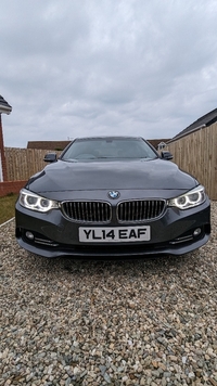 BMW 4 Series 420d xDrive Luxury 5dr Auto in Down
