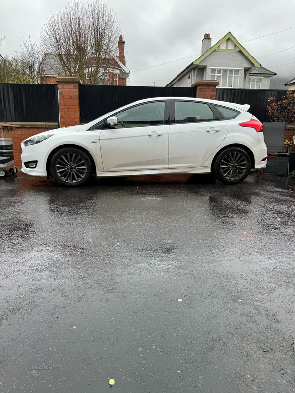 Ford Focus 1.5 EcoBoost ST-Line 5dr Auto in Antrim
