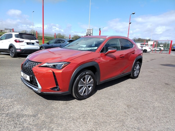 Lexus UX 300E 5d 202 BHP N.I VEHICLE IDEAL FOR EXPORT TO R.I in Tyrone