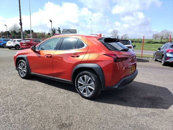 Lexus UX 300E 5d 202 BHP N.I VEHICLE IDEAL FOR EXPORT TO R.I in Tyrone