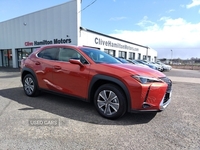 Lexus UX 300e 150kW 72.8 kWh 5dr E-CVT N.I VEHICLE IDEAL FOR EXPORT TO R.I in Tyrone