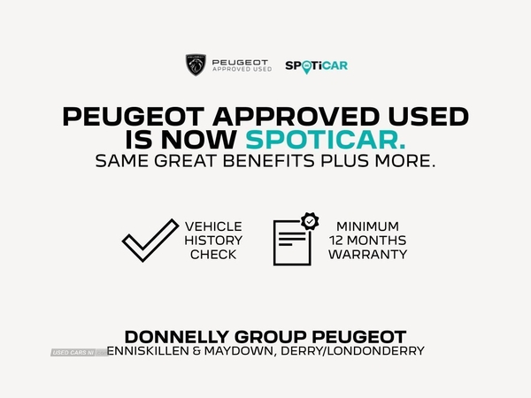 Peugeot 208 100kW Active Premium + 50kWh 5dr Auto in Fermanagh