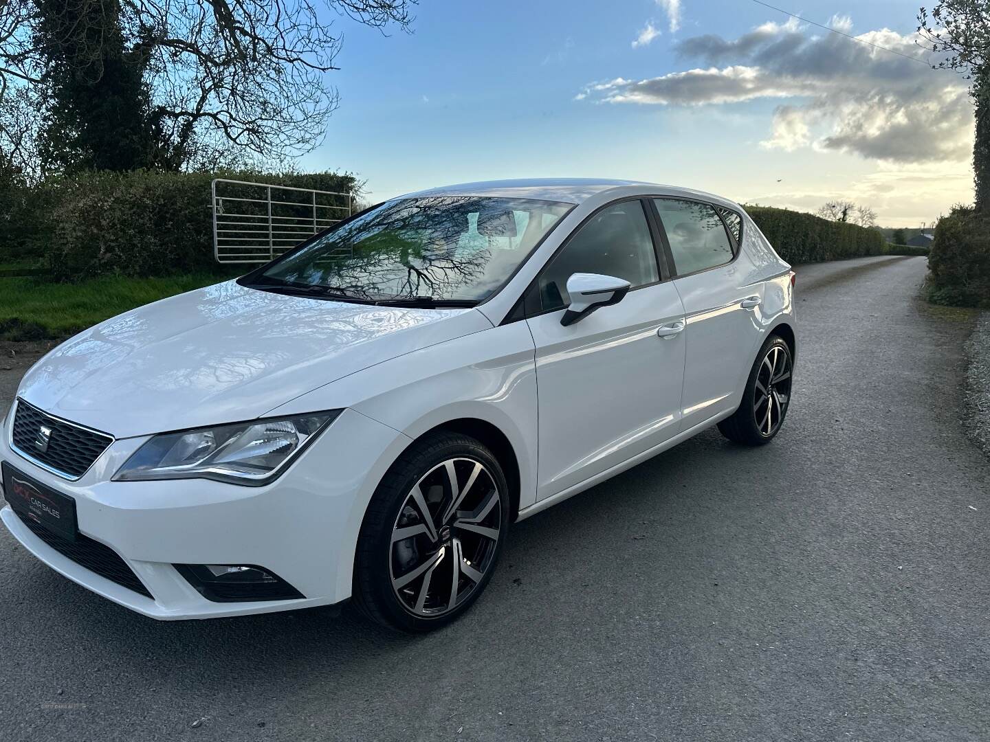 Seat Leon in Armagh