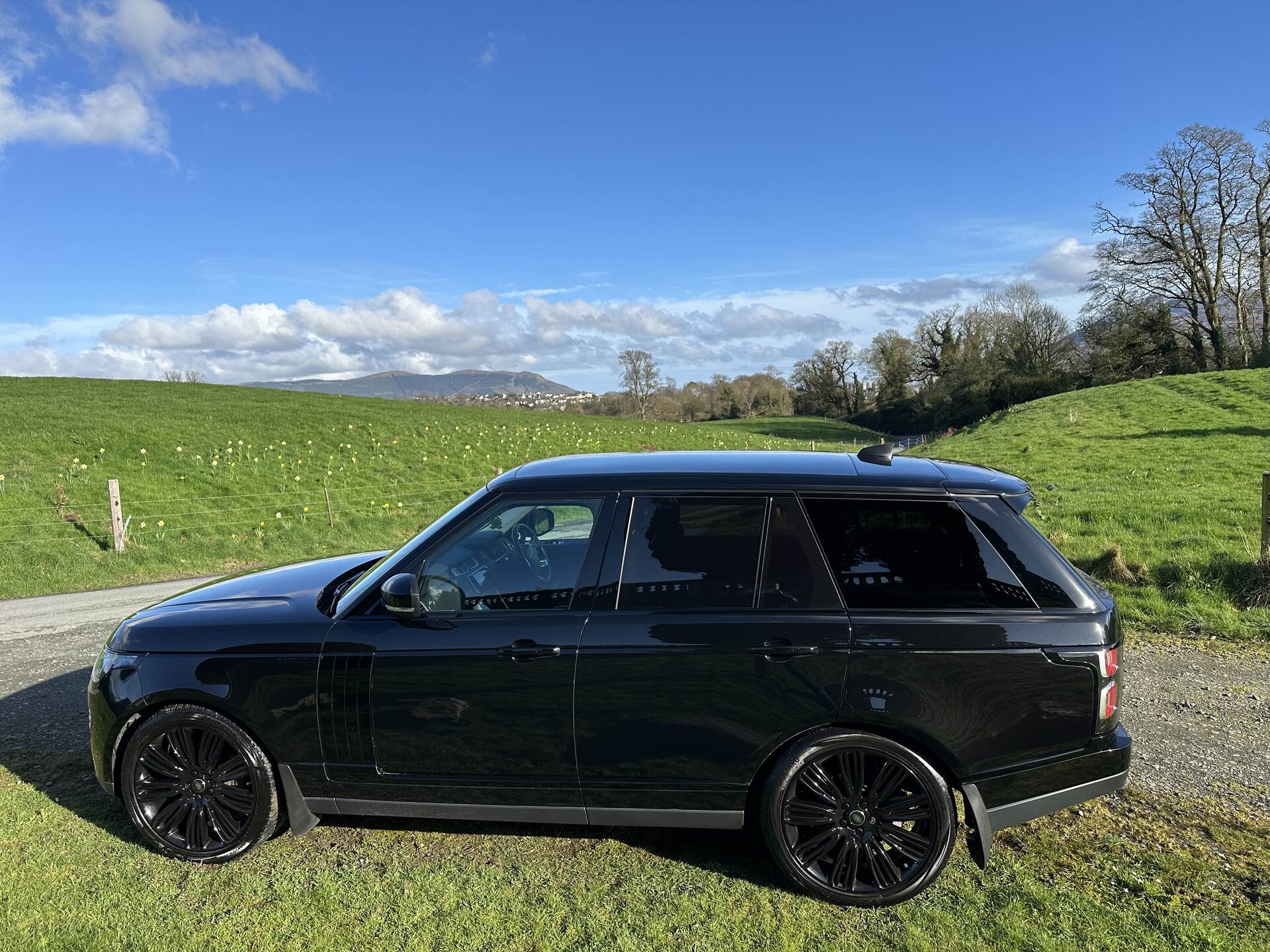 Land Rover Range Rover DIESEL ESTATE in Down