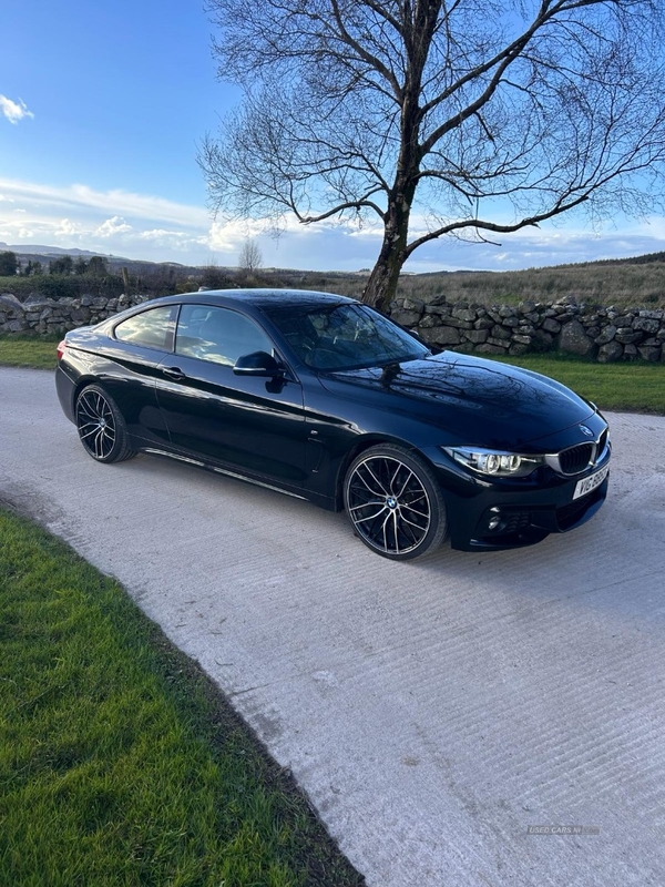 BMW 4 Series 420d [190] M Sport 2dr Auto [Professional Media] in Fermanagh