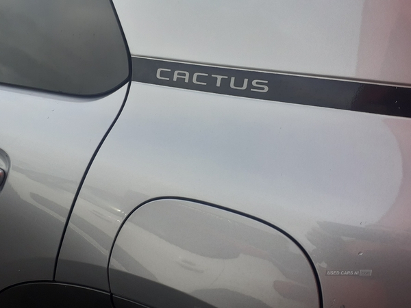 Citroen C4 Cactus DIESEL HATCHBACK in Derry / Londonderry