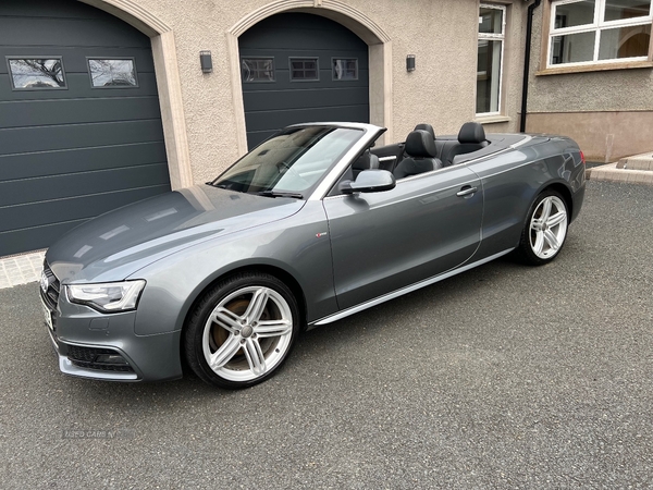 Audi A5 2.0 TDI 177 S Line Special Edition 2dr in Tyrone