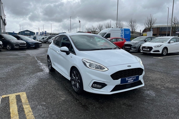 Ford Fiesta Hybrid mHEV 125 ST-Line Edition - FULL SERVICE HISTORY, REAR PARKING SENSORS, CRUISE CONTROL, APPLE CAR PLAY/ANDROID AUTO, SAT NAV, 1 LOCAL OWNER in Antrim