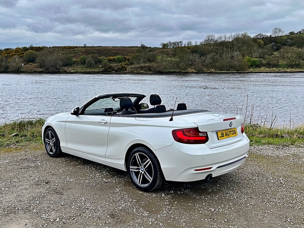 BMW 2 Series CONVERTIBLE in Derry / Londonderry