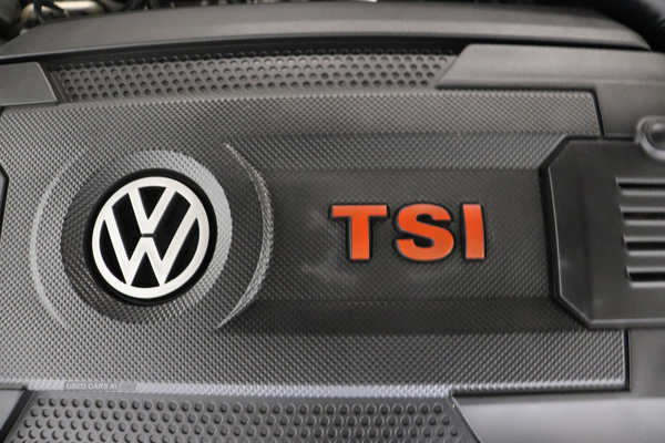 Volkswagen Golf GTI PERFORMANCE TSI DSG in Antrim