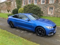 BMW 4 Series 420d xDrive M Sport 2dr in Down