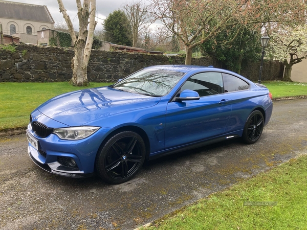 BMW 4 Series 420d xDrive M Sport 2dr in Down