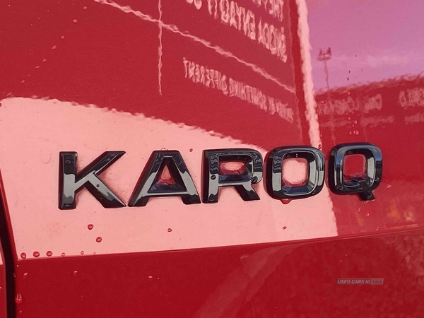 Skoda Karoq 2.0 TSI [190] Sport Line 4x4 5dr DSG in Down