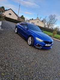 BMW 4 Series 420d xDrive M Sport 5dr Auto in Tyrone