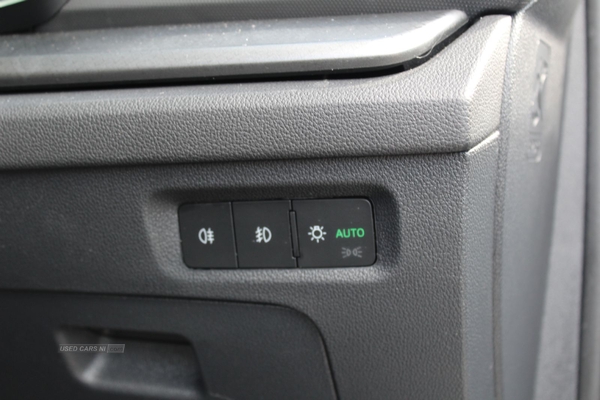 Skoda Octavia Hatch SE First Edition 1.5 TSI 150 PS 6G Man in Antrim