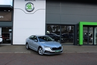 Skoda Octavia Hatch SE First Edition 1.5 TSI 150 PS 6G Man in Antrim