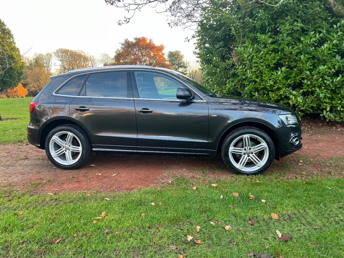 Audi Q5 2.0 TDI Quatto S Line in Antrim