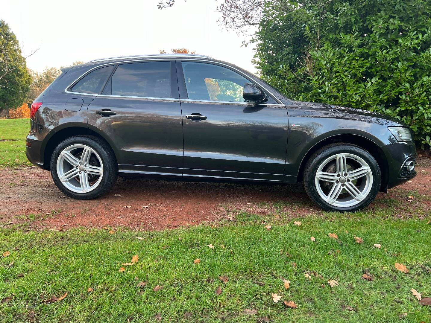 Audi Q5 2.0 TDI Quatto S Line in Antrim