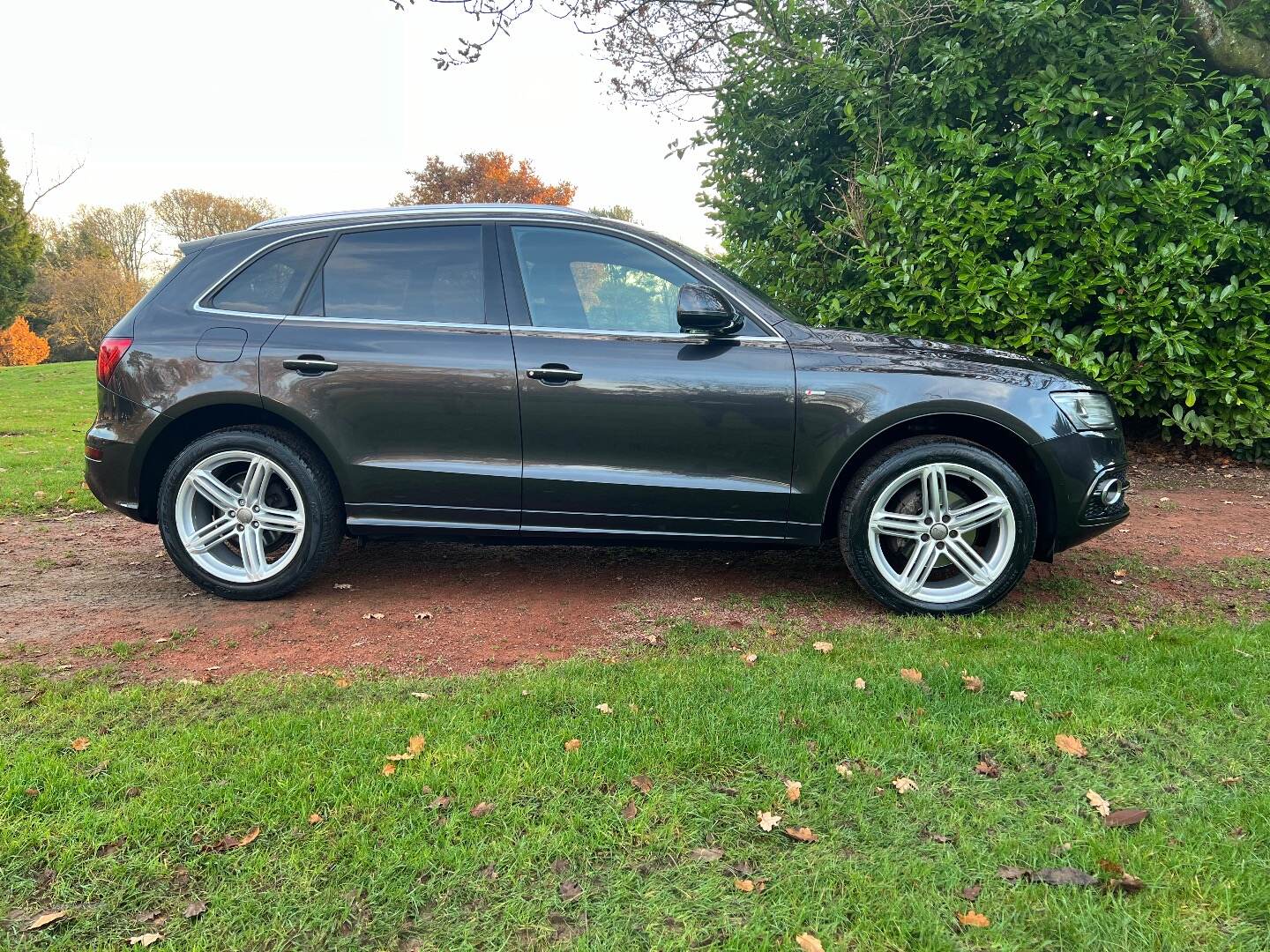 Audi Q5 2.0 TDI Quatto S Line in Antrim