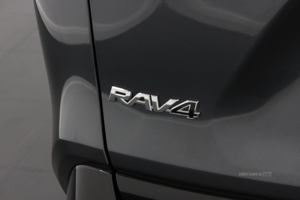 Toyota RAV4 ESTATE in Antrim
