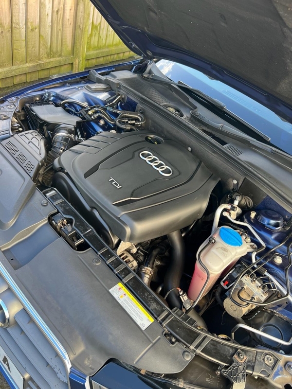 Audi A4 2.0 TDIe SE Technik 5dr in Antrim