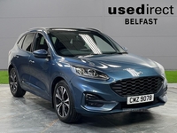 Ford Kuga 1.5 Ecoblue St-Line X 5Dr Auto in Antrim