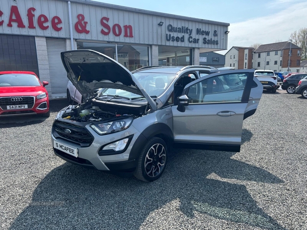 Ford EcoSport 1.0T EcoBoost Active Euro 6 (s/s) 5dr in Antrim