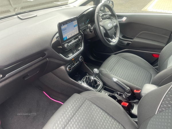 Ford Fiesta 1.0 EcoBoost 125 Titanium 5dr in Tyrone