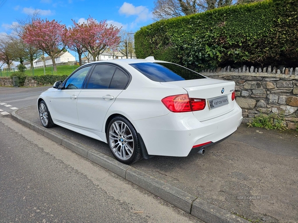 BMW 3 Series 2.0 320d M Sport Euro 5 (s/s) 4dr in Down