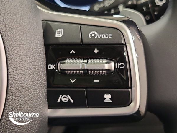 Kia Sorento 1.6 T-GDi 13.8kWh Vision SUV 5dr Petrol Plug-in Hybrid Auto AWD Euro 6 (s/s) (261 bhp) in Down