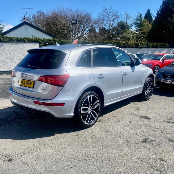 Audi Q5 ESTATE SPECIAL EDITIONS in Down