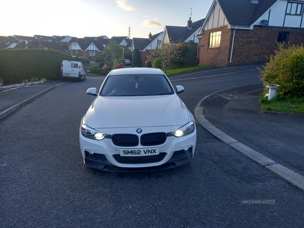 BMW 3 Series 318d SE 4dr in Down