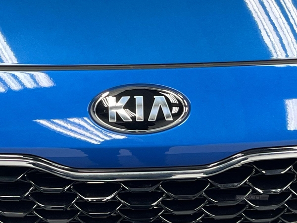 Kia Ceed 1.4T Gdi Isg Blue Edition 5Dr in Antrim