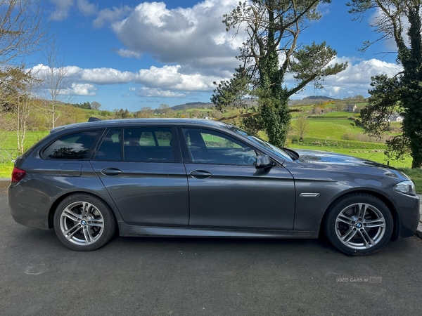 BMW 5 Series 520d [190] M Sport 4dr Step Auto in Down