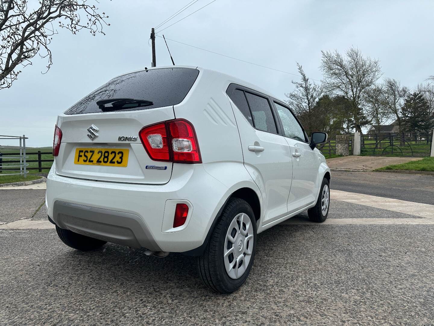 Suzuki Ignis HATCHBACK in Down