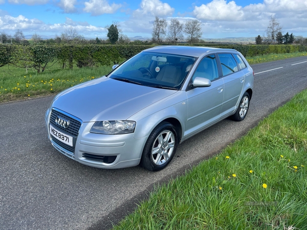 Audi A3 1.6 Special Edition 5dr in Antrim