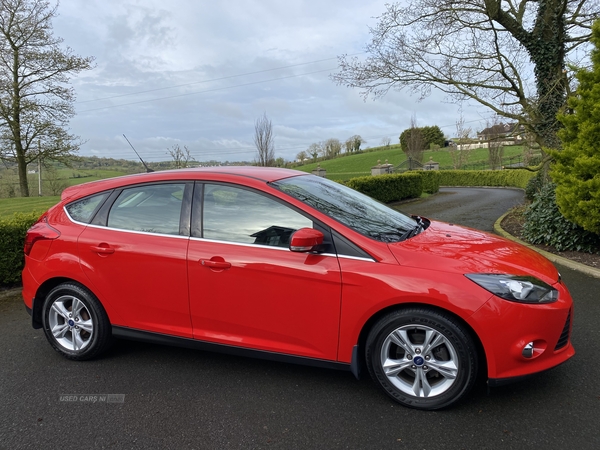 Ford Focus 1.6 TDCi 115 Zetec 5dr in Down