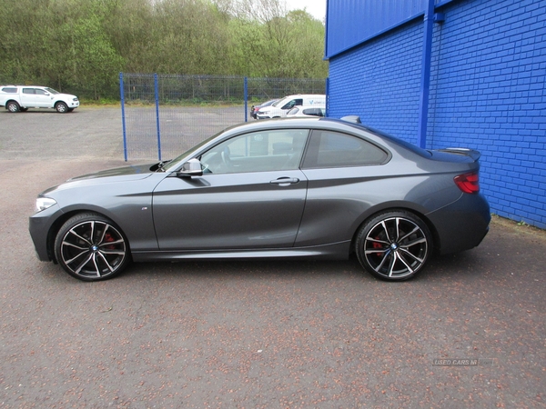 BMW 2 Series 218d M Sport 2.0 218d M Sport Coupe in Derry / Londonderry