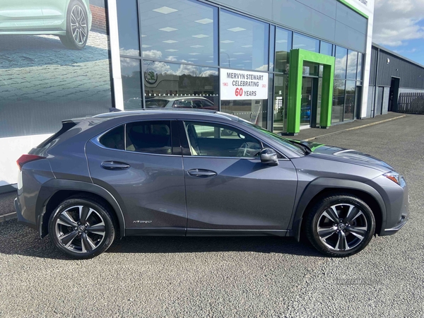 Lexus UX 250h 2.0 5dr CVT [without Nav] in Down