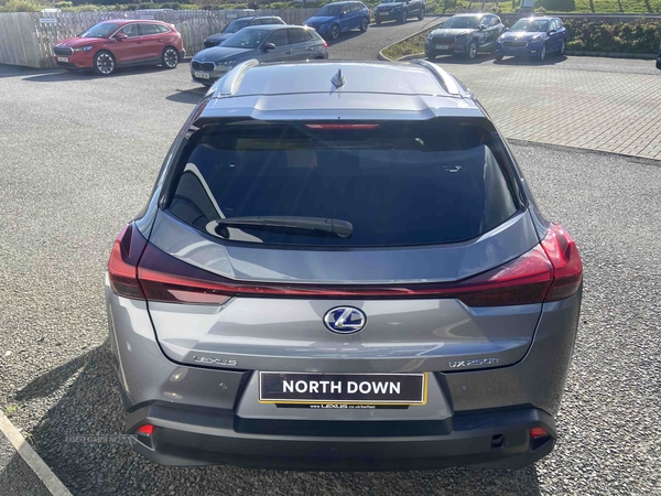 Lexus UX 250h 2.0 5dr CVT [without Nav] in Down