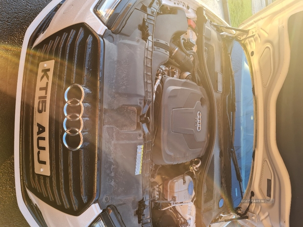 Audi A6 2.0 TDI Ultra SE 4dr in Tyrone