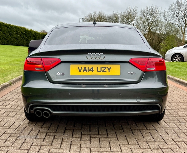 Audi A5 SPORTBACK SPECIAL EDITIONS in Derry / Londonderry