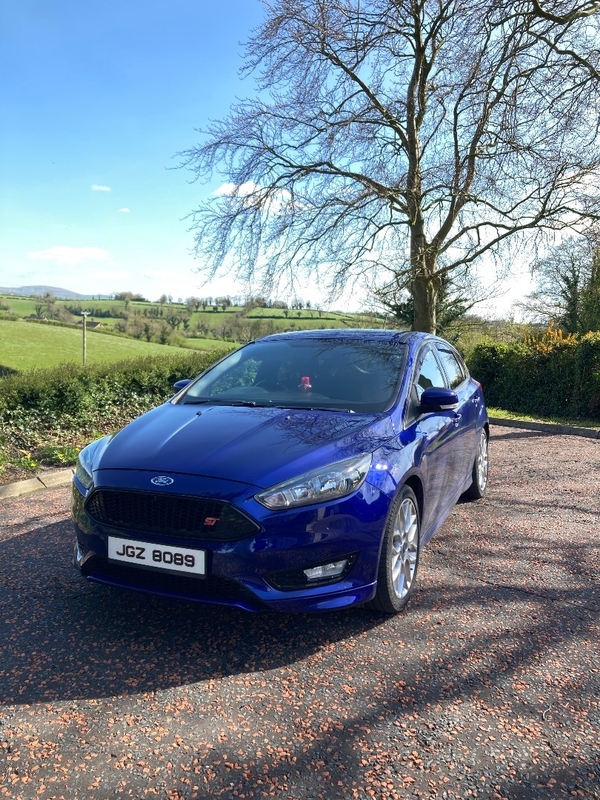 Ford Focus 1.5 TDCi 120 ST-Line 5dr in Down