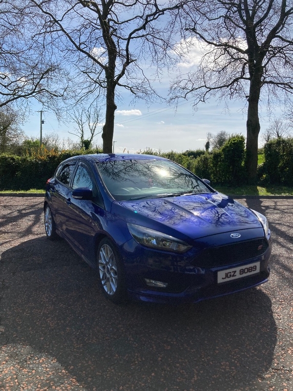 Ford Focus 1.5 TDCi 120 ST-Line 5dr in Down