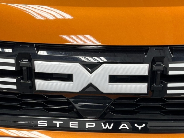 Dacia Sandero Stepway 1.0 Tce Journey 5Dr in Antrim